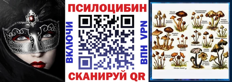 Галлюциногенные грибы Psilocybine cubensis  Купить где  Сольцы 